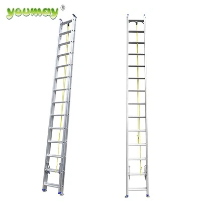 Прилагођене Зхејианг мердевине